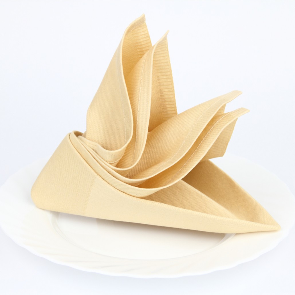 Spruce Up Your Dinner Table with Impressive Napkin Folding – Republic  Masters Chefs