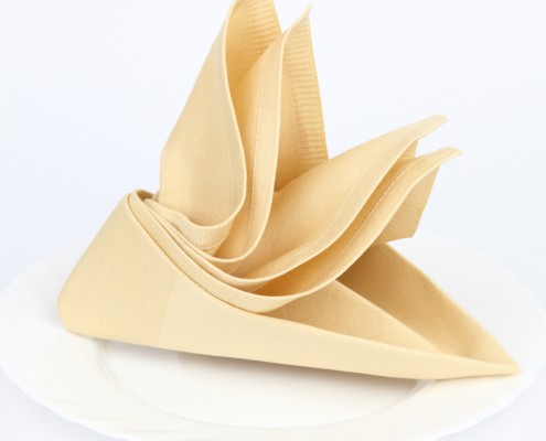 napkin folding