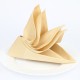 napkin folding