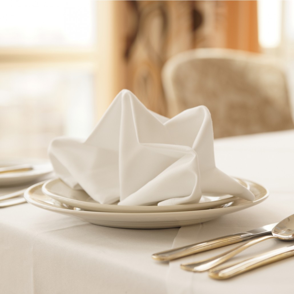 Paper Restaurant Napkins vs. Restaurant Cloth Napkins – Republic