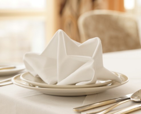 restaurant cloth napkins